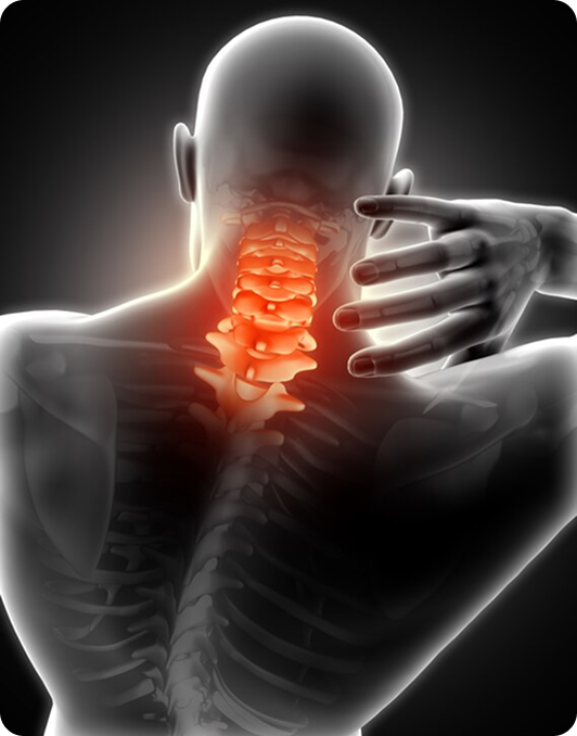 X-ray style illustration of a person holding their neck with the cervical spine highlighted